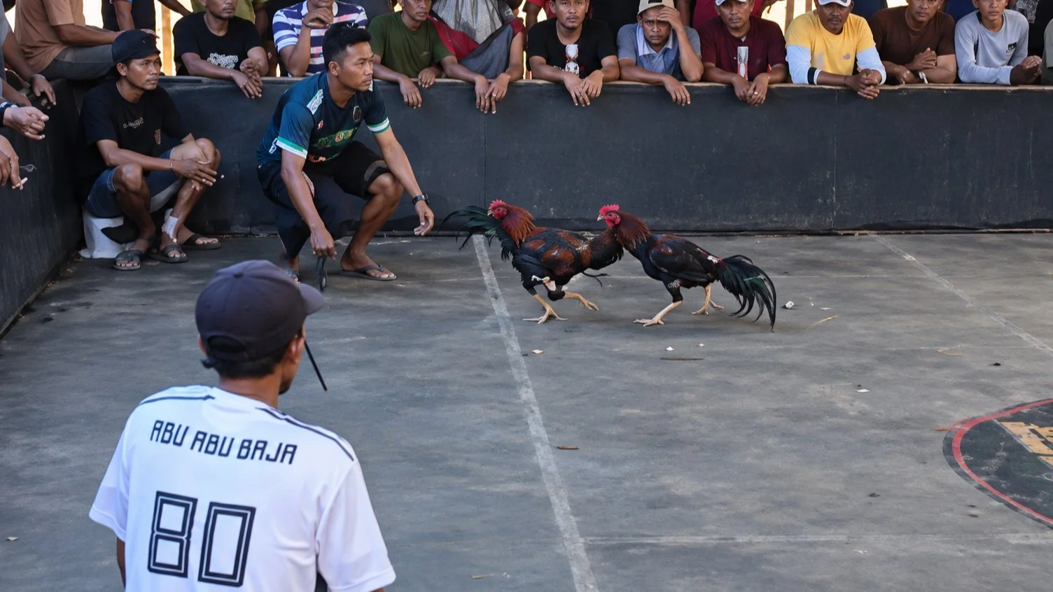 Diduga Beromzet Ratusan Juta, Arena Sabung Ayam di Ambulu Disorot Warga